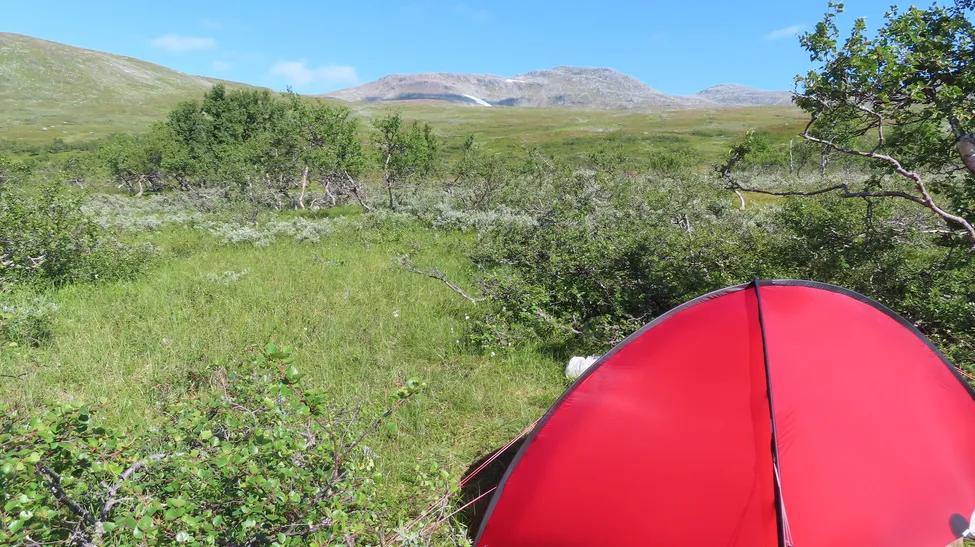 Klicka för att förstora