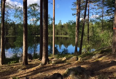 Att satsa på friluftsliv är att satsa på välfärd