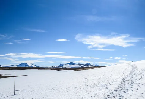 Fyra nyanser av sommar. Del 2 - försommaren