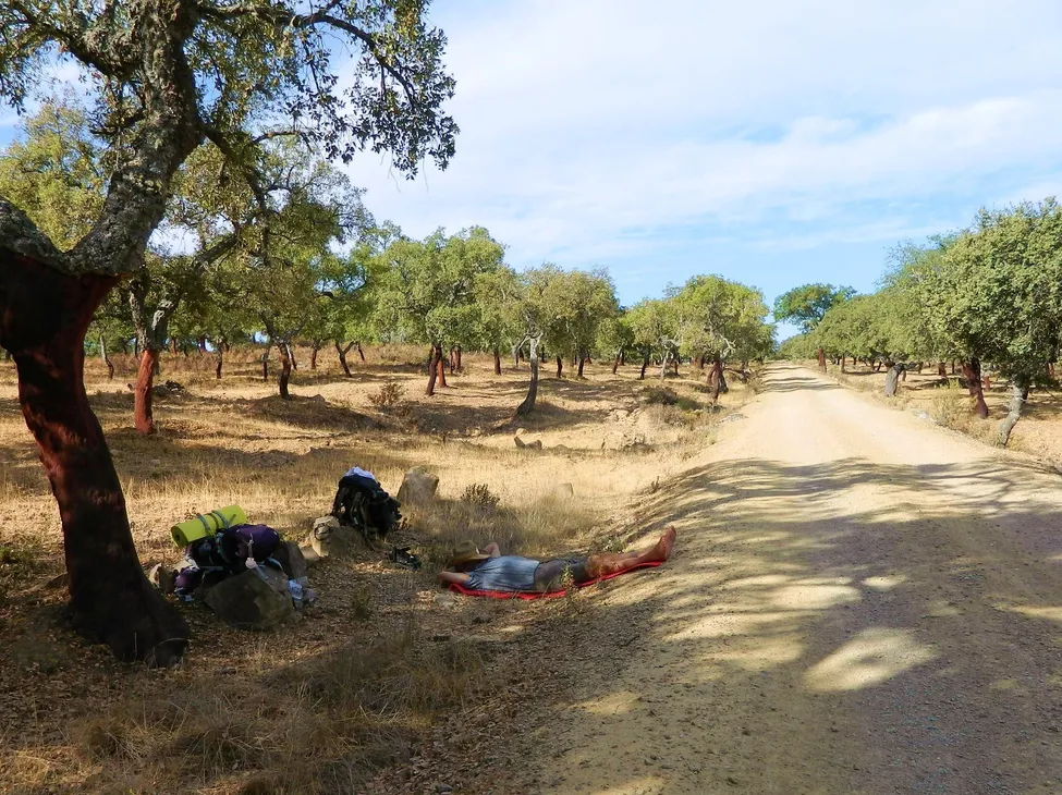 Klicka för att förstora