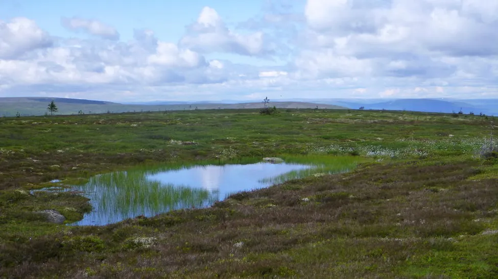 Klicka för att förstora