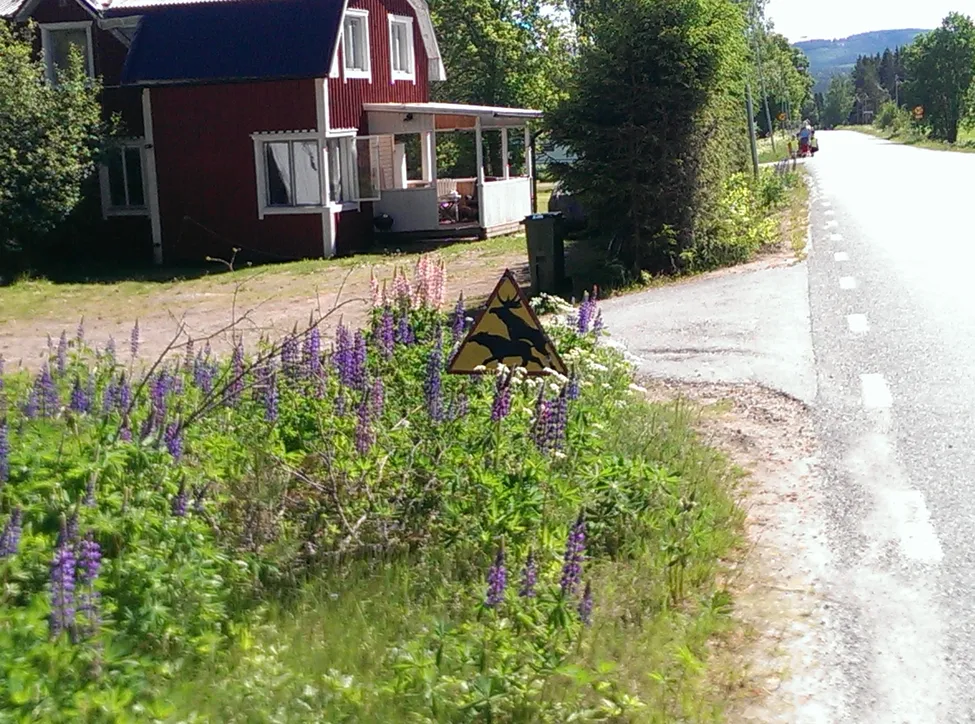 Klicka för att förstora