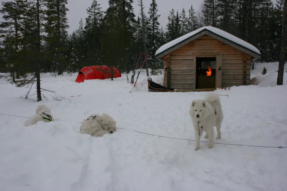 Klicka för att förstora