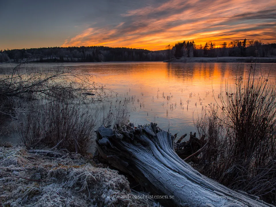 Klicka för att förstora