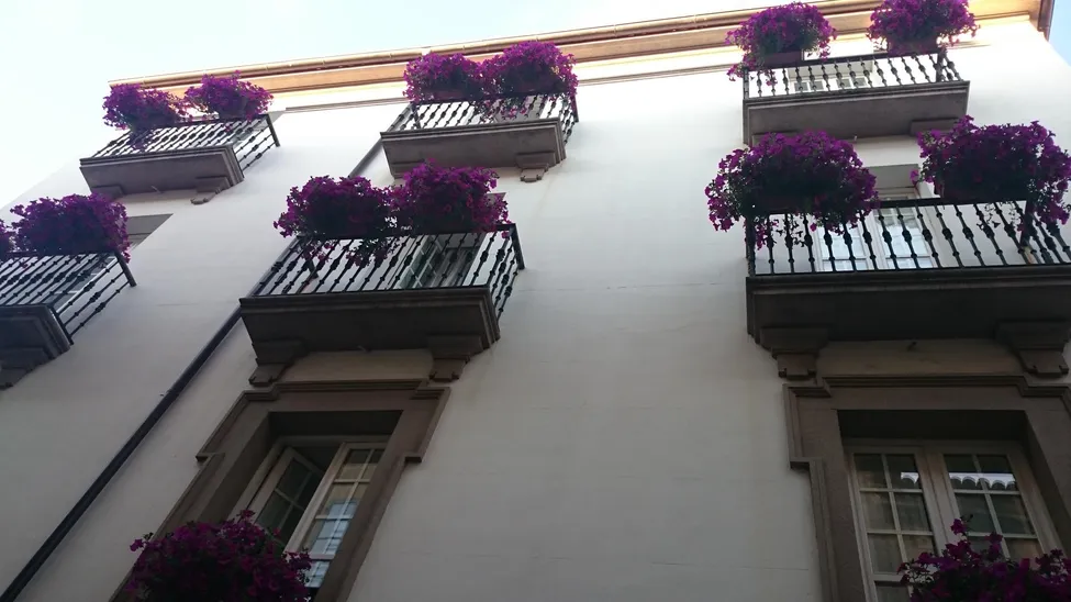 Klicka för att förstora