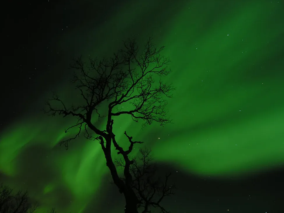Klicka för att förstora