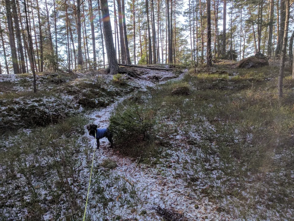 Klicka för att förstora