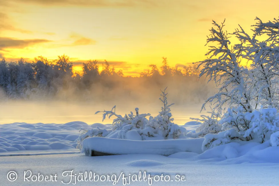 Klicka för att förstora