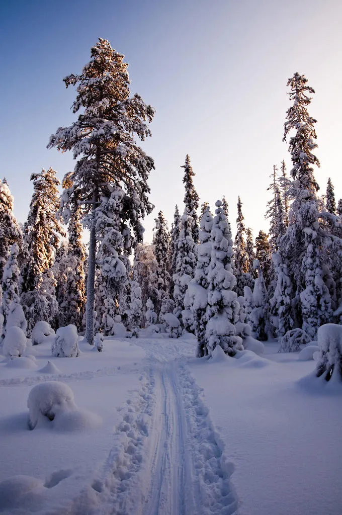 Klicka för att förstora