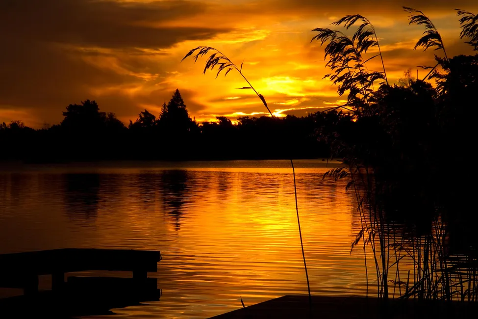 Klicka för att förstora