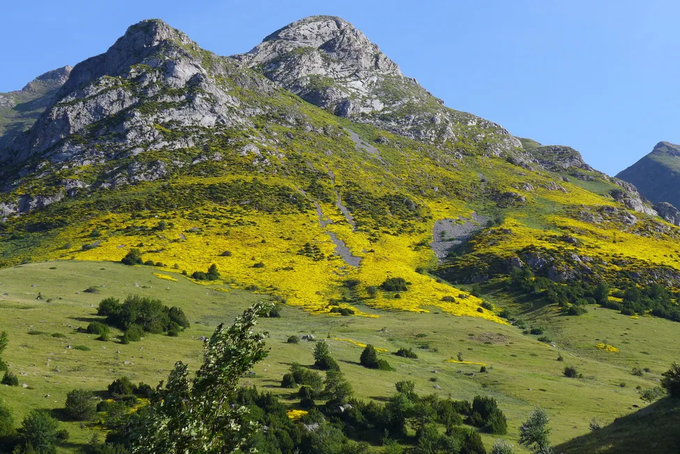 Klicka för att förstora