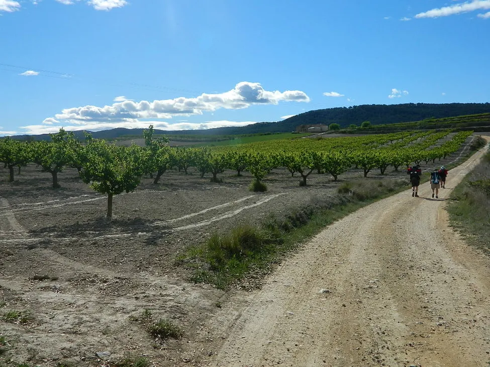 Klicka för att förstora