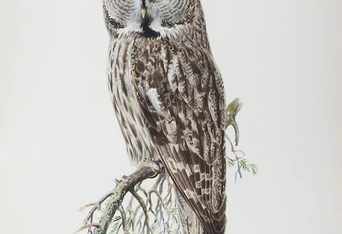 Den Stora Grå. Och om fasaden som rämnade