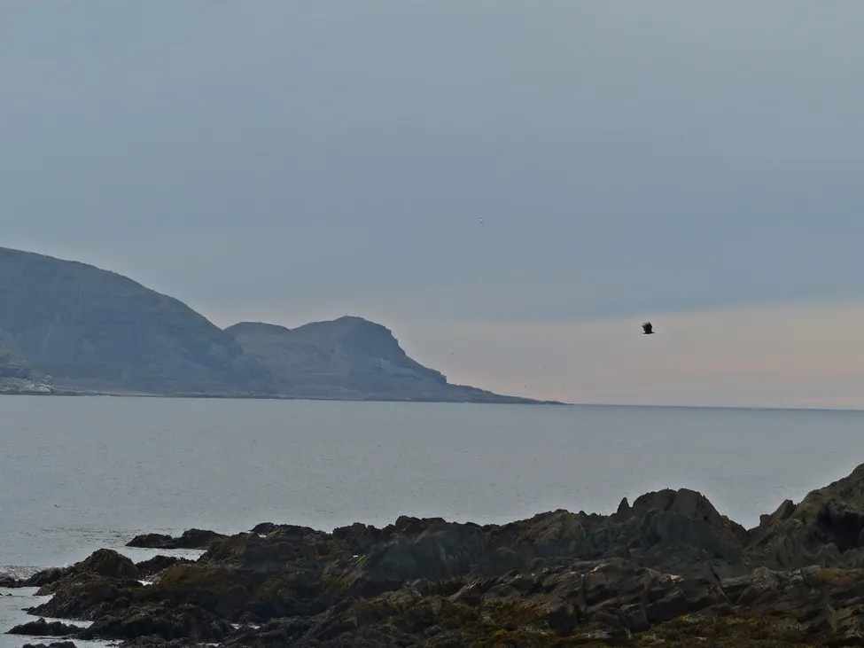 Klicka för att förstora