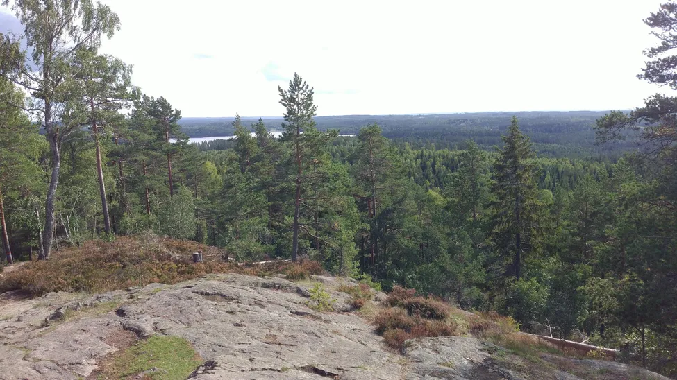 Klicka för att förstora