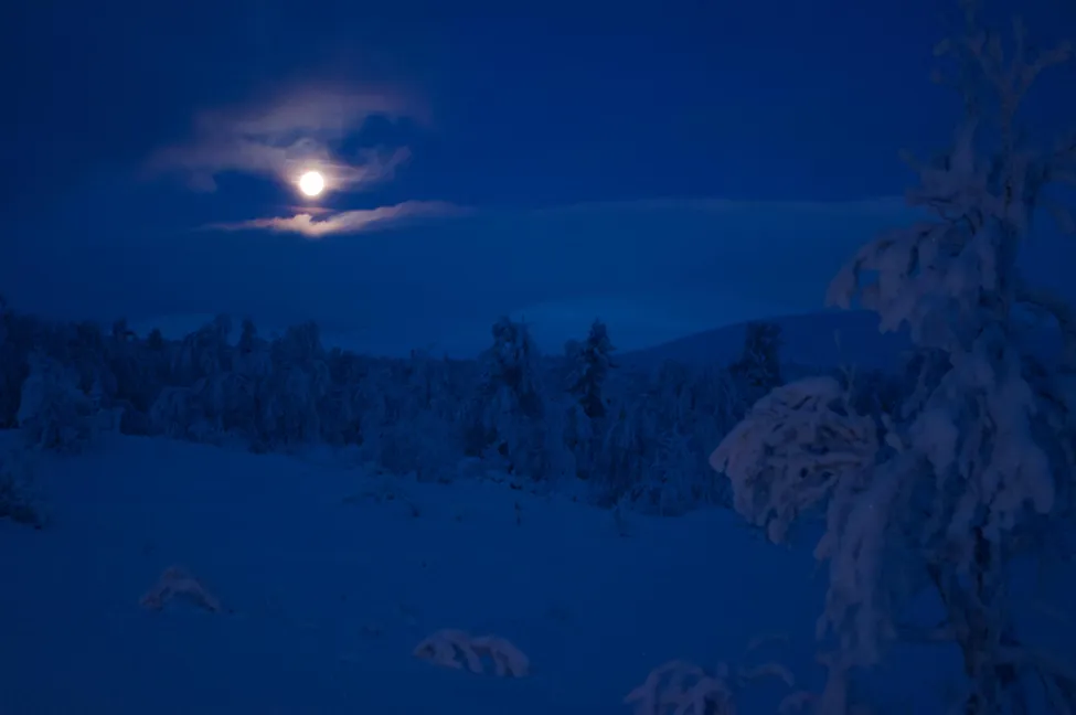 Klicka för att förstora