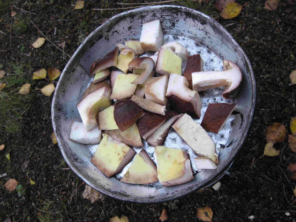 Klicka för att förstora