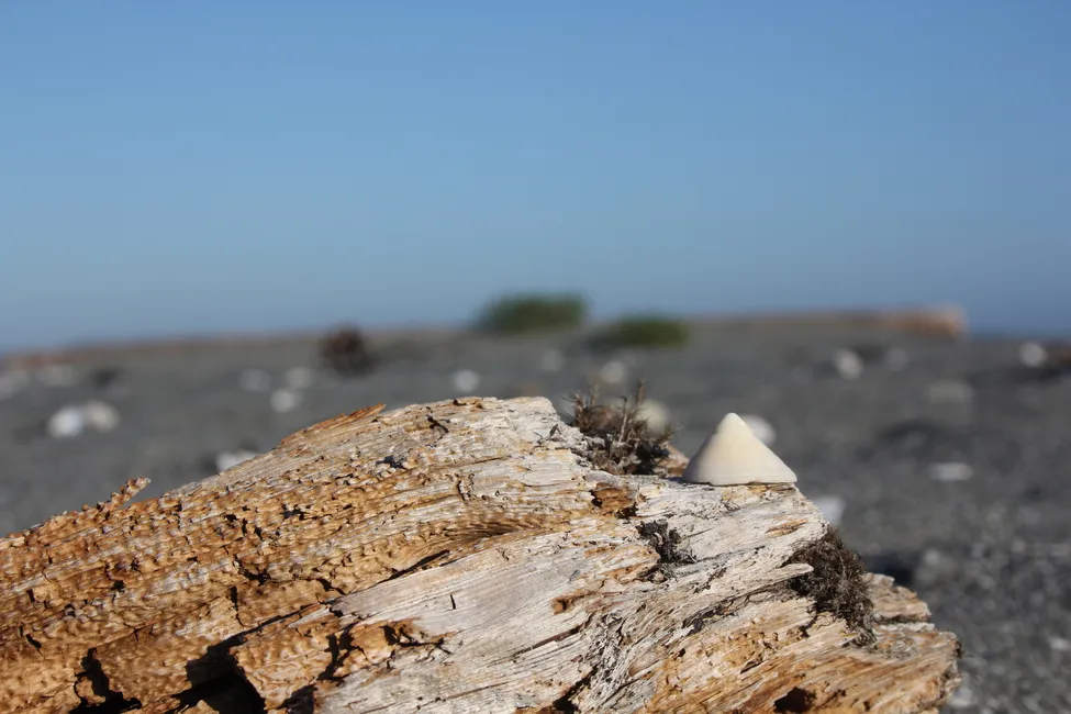 Klicka för att förstora