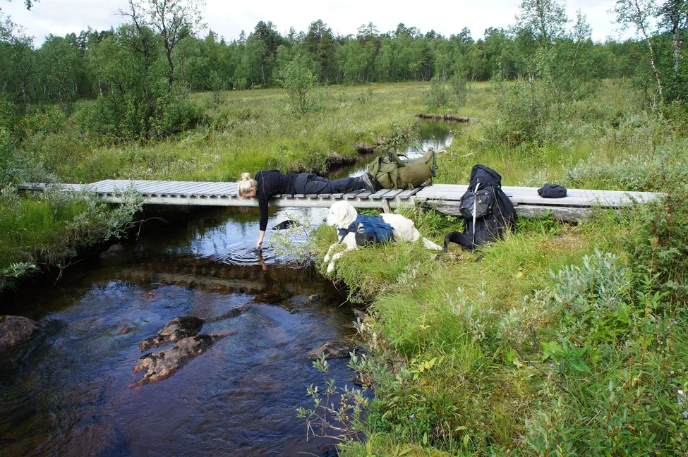 Klicka för att förstora