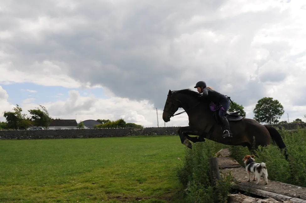 Klicka för att förstora