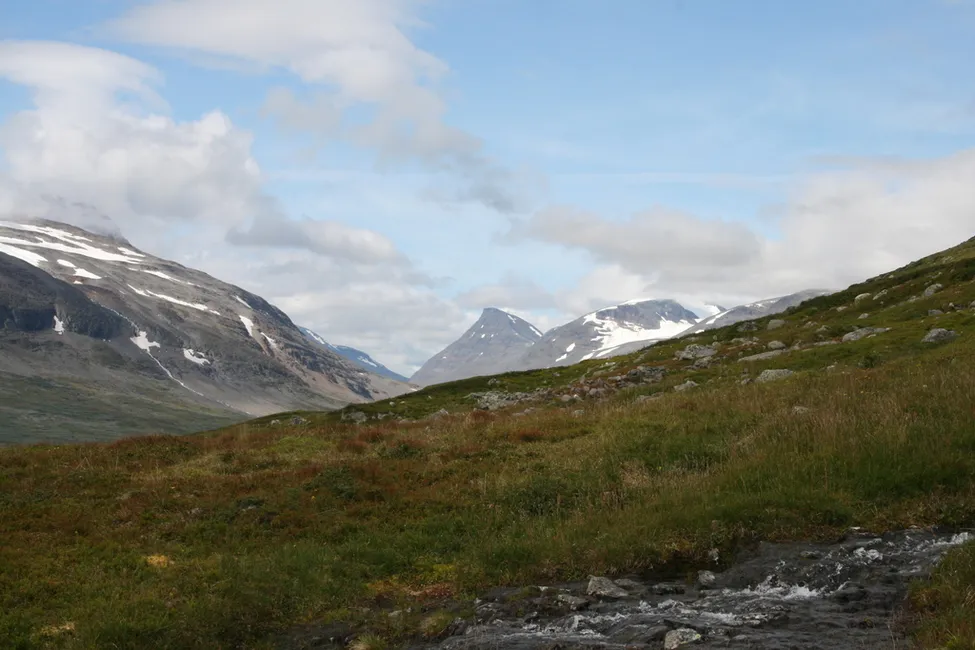 Klicka för att förstora