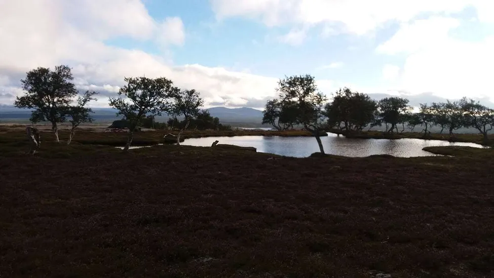 Klicka för att förstora