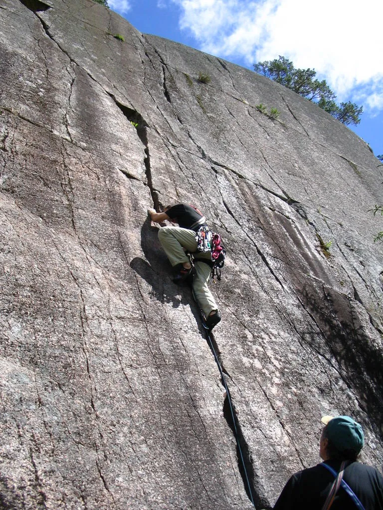 Klicka för att förstora