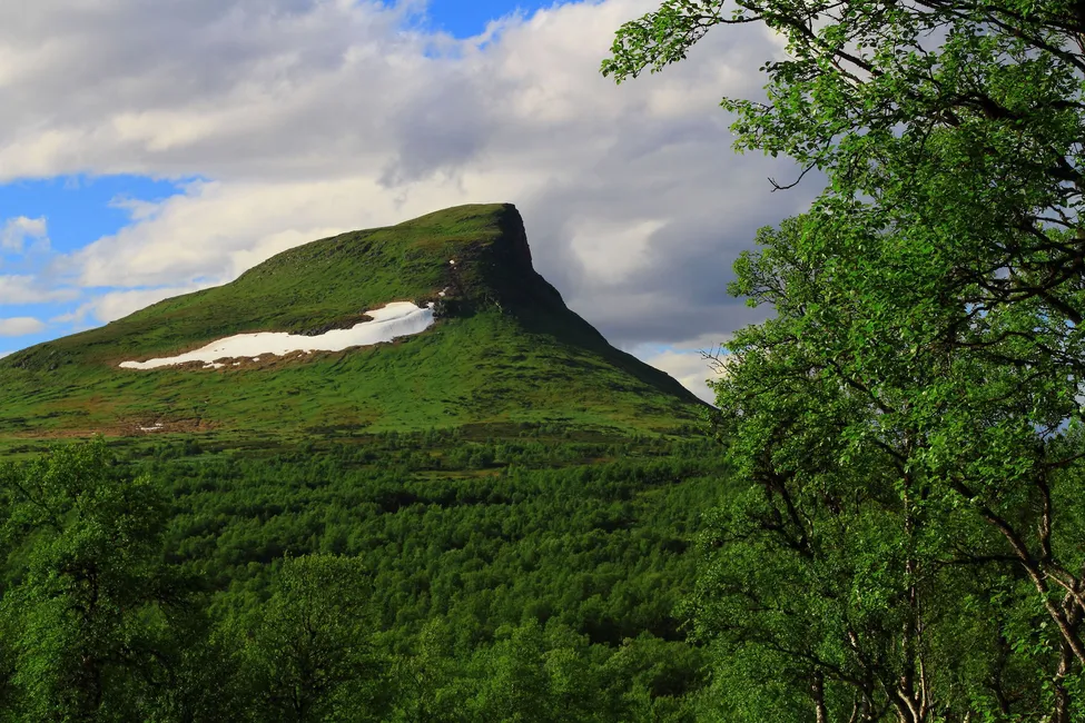 Klicka för att förstora