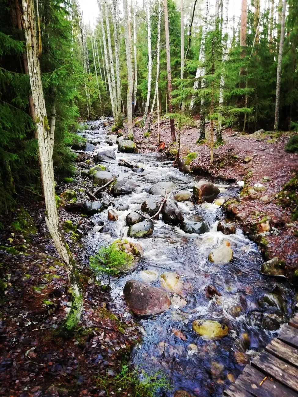 Klicka för att förstora