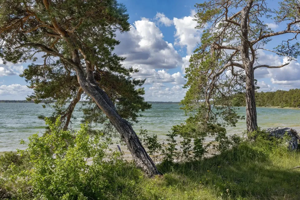 Bästeträsk – vår nästa nationalpark?