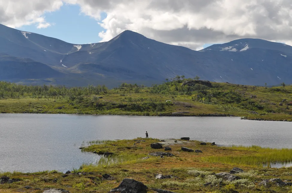 Klicka för att förstora