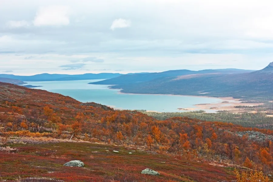Klicka för att förstora