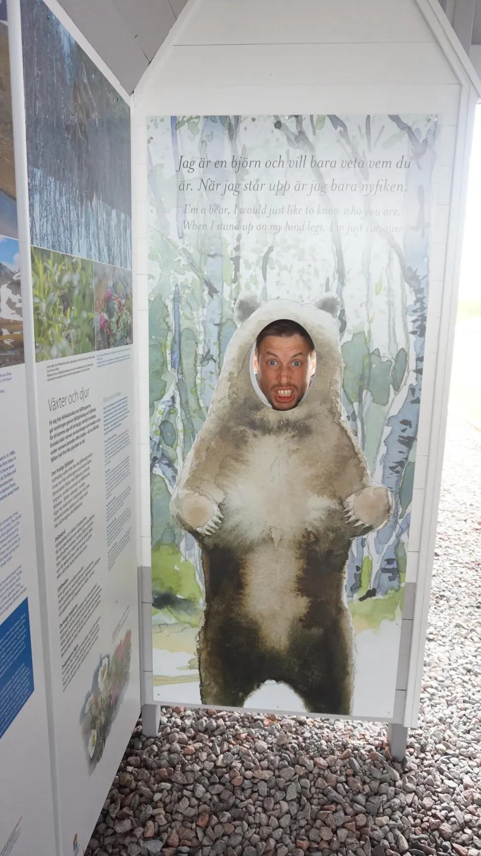 Klicka för att förstora