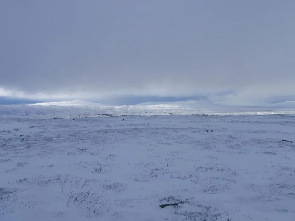 Klicka för att förstora