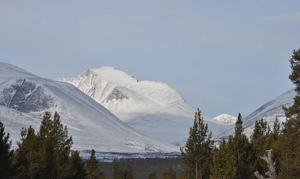 Klicka för att förstora