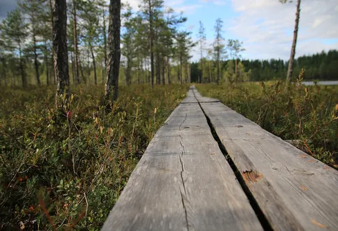 Sveriges längsta pilgrimsled rustas