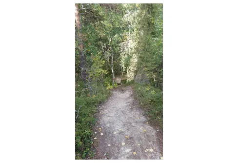 Cykling längs Isälvsleden.