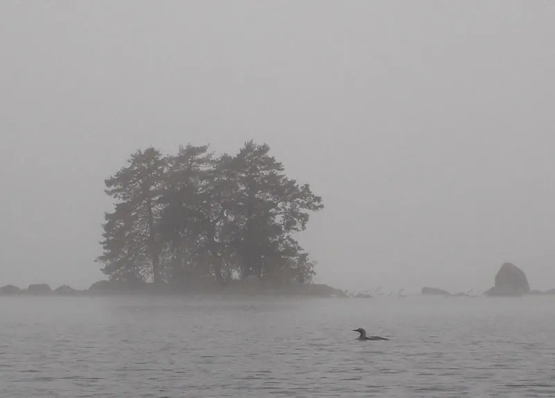 Klicka för att förstora