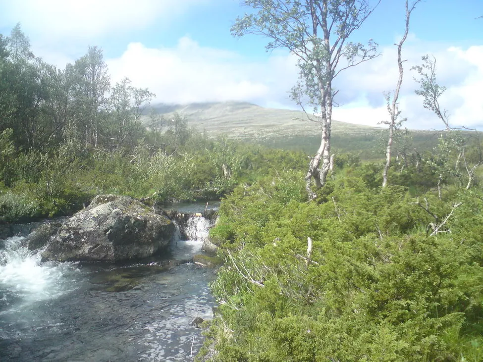Klicka för att förstora