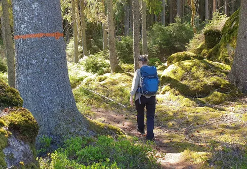 Tio sjöars led + anslutningar och alternativa vägval