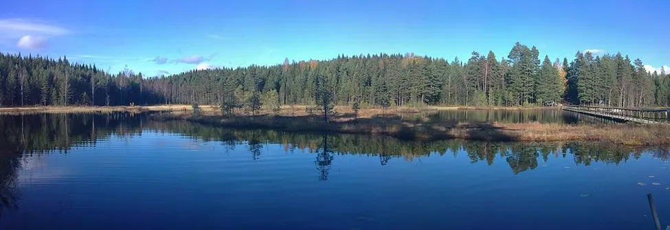 Klicka för att förstora