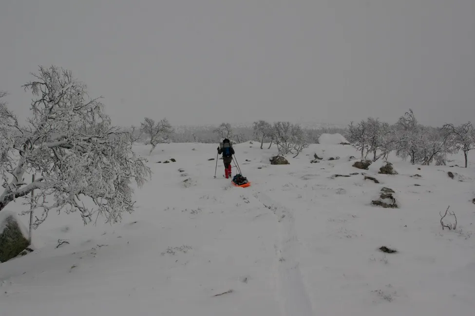 Klicka för att förstora