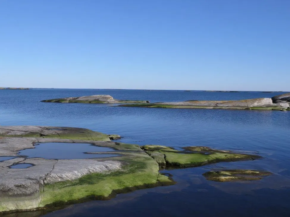 Klicka för att förstora