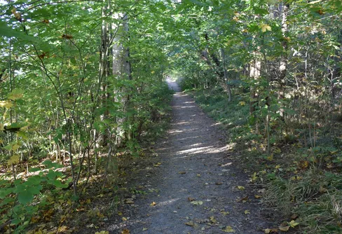 Vandring viktigast i svenskarnas friluftsliv