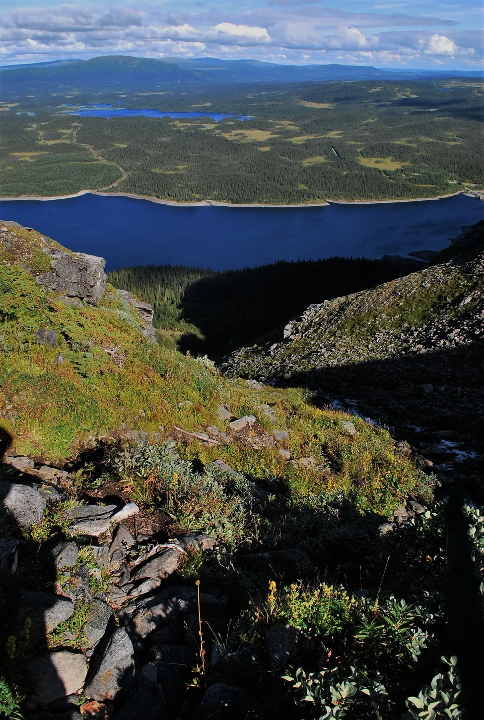 Klicka för att förstora