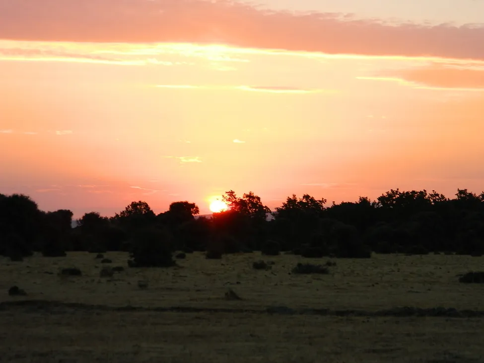Klicka för att förstora