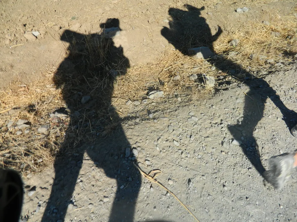 Klicka för att förstora