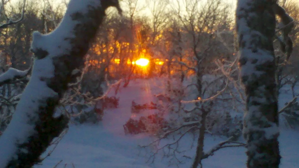 Klicka för att förstora