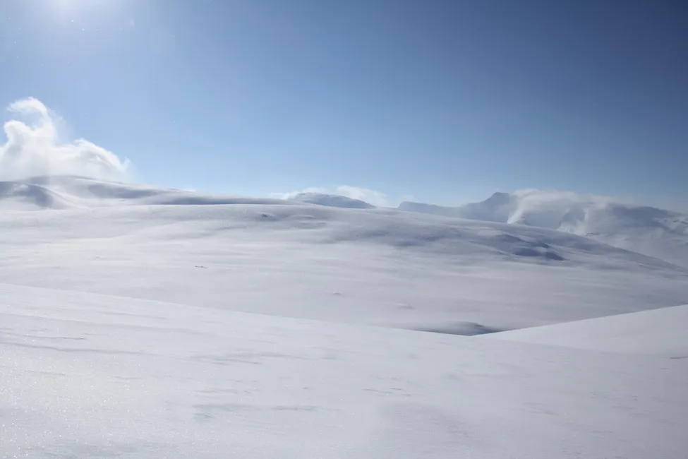 Klicka för att förstora