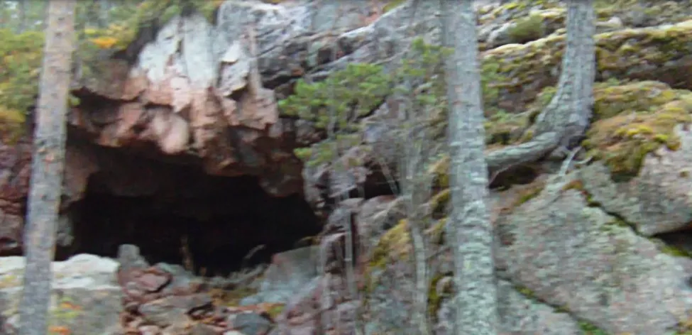 Klicka för att förstora